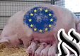 La bancarrota de los "PIGS"