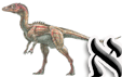 Dinosaurios (eoraptor)